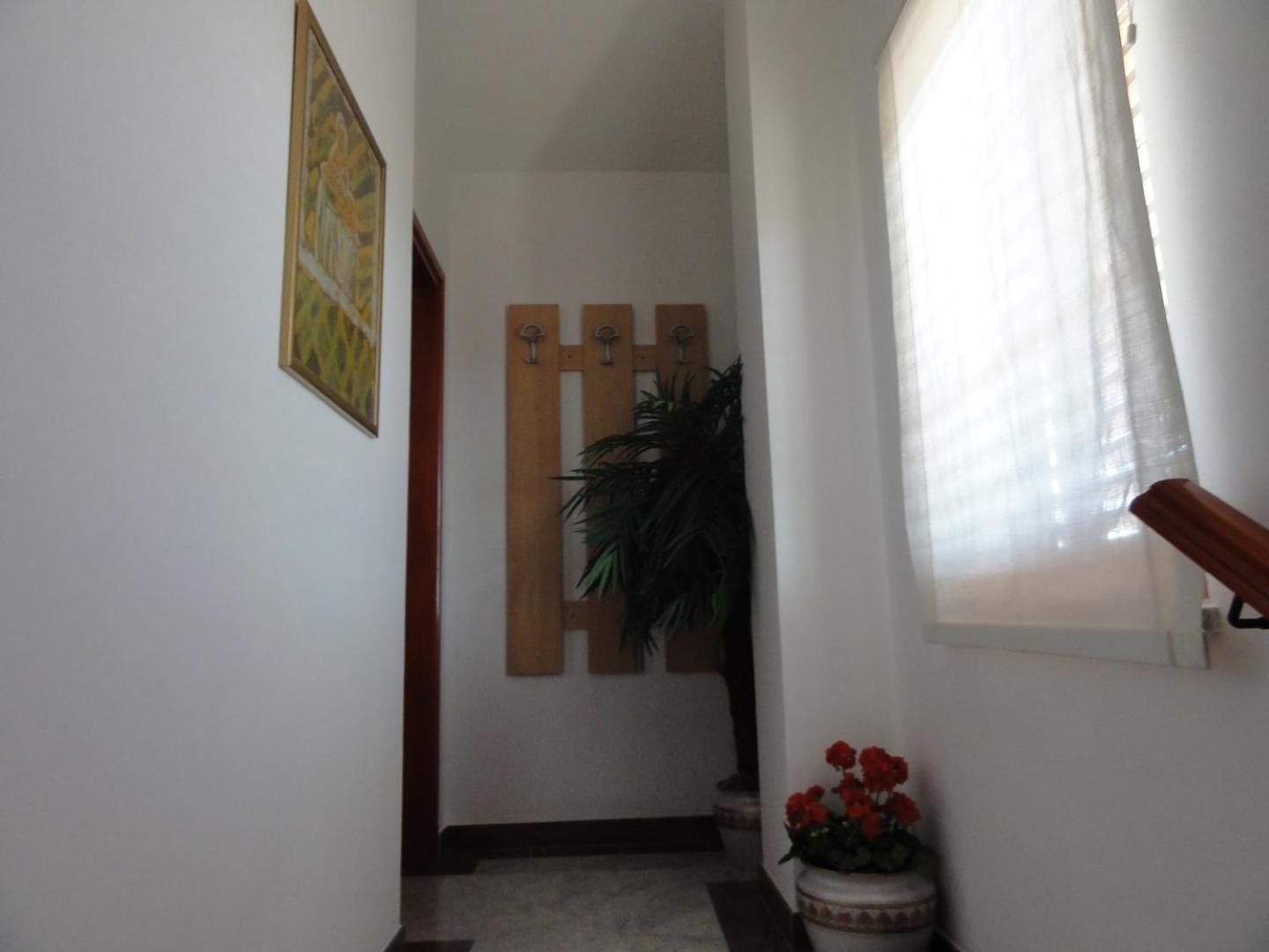 Cozy Apartments And Rooms Pavicini Segotici Exterior photo