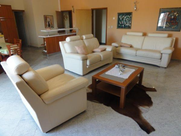 Cozy Apartments And Rooms Pavicini Segotici Exterior photo